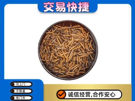庐山市高价回收散虫草